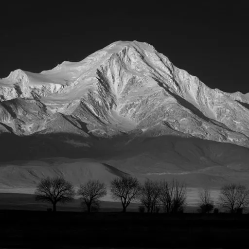 Black and white landscape photograph featuring a snow-capped mountain range under a moody dark sky, with barren trees in the foreground, inspired by Ansel Adams style.