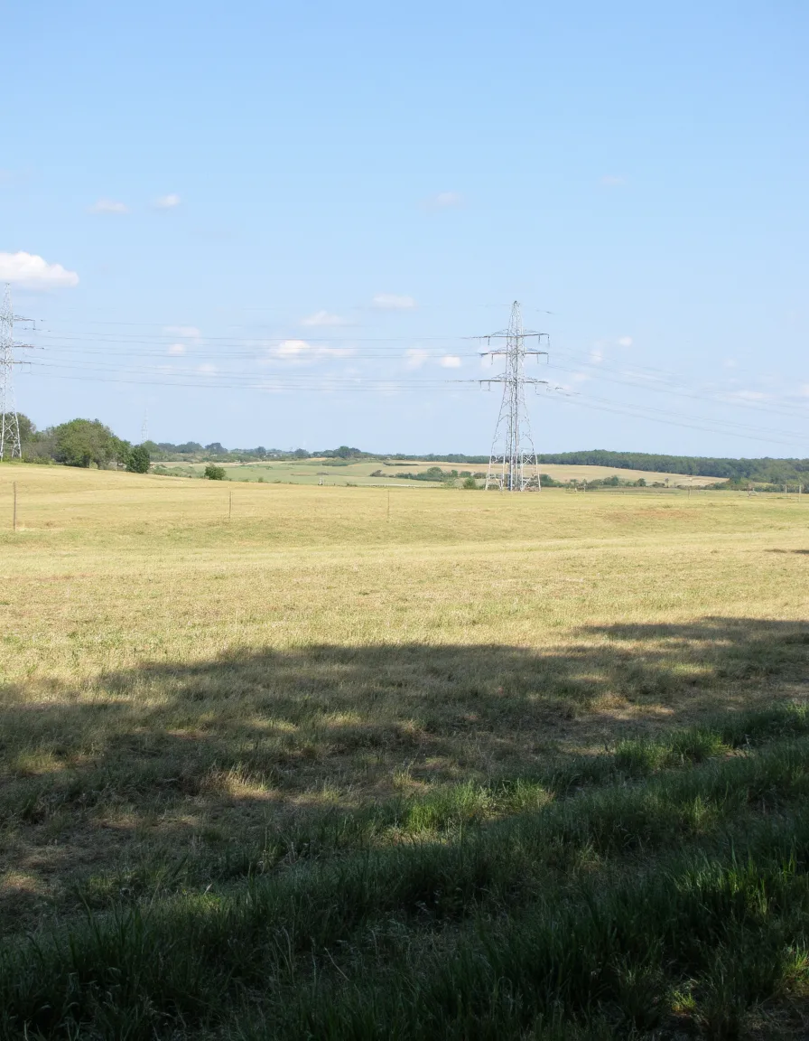 A simple rural field with green and yellow grass under a clear blue sky, featuring metal transmission line pylons in the distance.