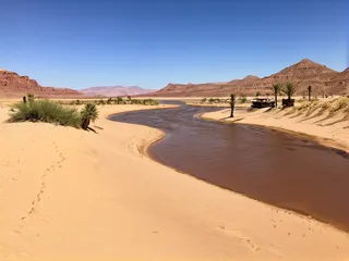 Paysage désertique avec une rivière sinueuse et un bateau à vapeur près de palmiers clairsemés et de dunes de sable doré sous un ciel bleu clair.
