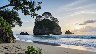 Serene tropical beach with a sandy shore and ocean waves lapping against a large rocky island topped with lush trees and a solitary tree at sunset.