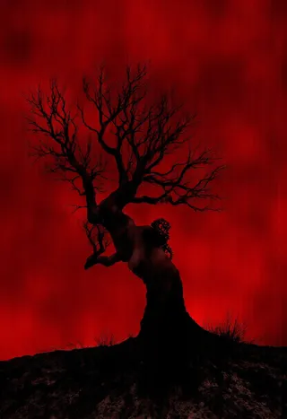 Silhouetted twisted tree with gnarled branches and exposed roots against a deep red sky, featuring dark soil and dramatic high contrast lighting.