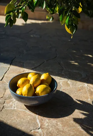 A bowl filled with vibrant yellow lemons resting on a sunlit textured stone surface, with leafy shadows casting soft patterns in the background.