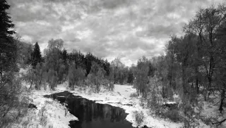 Forêt d'hiver Forêt d'hiver