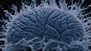 Cinenauts XL (A TRUE CINEMATIC DIFFUSION) Cinenauts v2.0